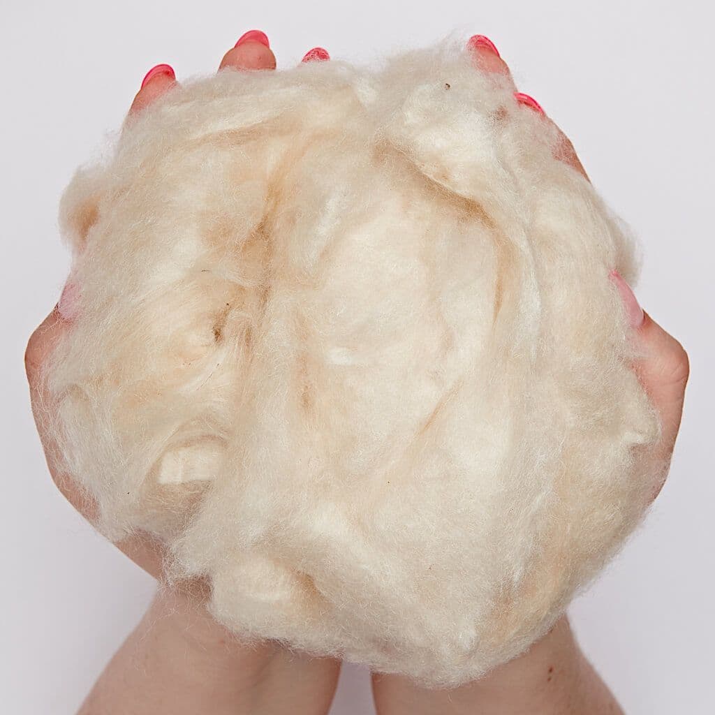 Kapok Natural Fibre