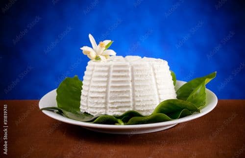 Cow Milk Ricotta