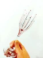 Gill's Champagne Prosecco Glass Crown Design