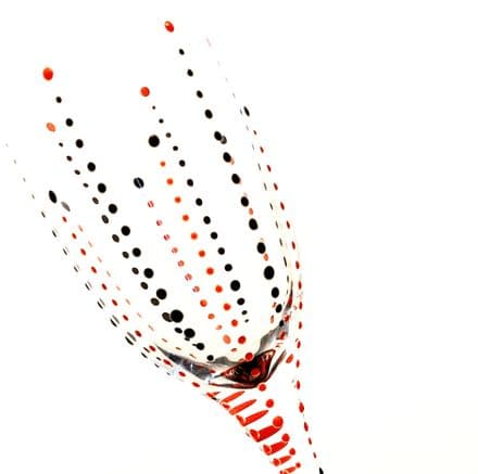 Gill's Champagne Prosecco Glass Crown Design