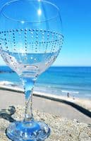 Gill's Gin Glass 'The Drop'