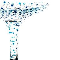 Gill's Handpainted Champagne Coupe Glass