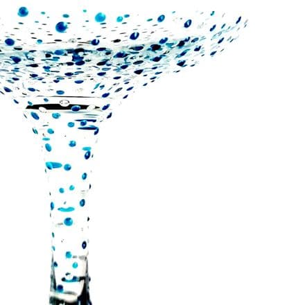 Gill's Handpainted Champagne Coupe Glass