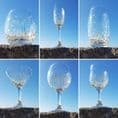 Gill's Wine Glass 'Daisy'