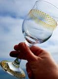 Gill's Wine Glass 'The Ring'