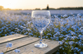 Hand Painted Balloon Gin Glass 'Forget-Me-Not Flower Design