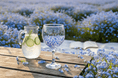 Hand Painted Balloon Gin Glass 'Forget-Me-Not Flower Design