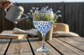 Hand Painted Balloon Gin Glass 'Forget-Me-Not Flower Design