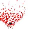 Hand Painted Balloon Gin Glass 'Poppy' Flower Design
