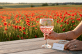 Hand Painted Balloon Gin Glass 'Poppy' Flower Design