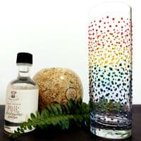 Hand Painted Multicoloured Hiball Glass