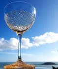 Painted Martini Cocktail Glass 'Citrus'