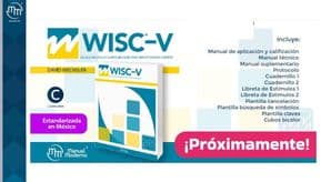WISC-V ESCALA DE INTELIGENCIA PARA NIÑOS WECHSLER Maletín MM