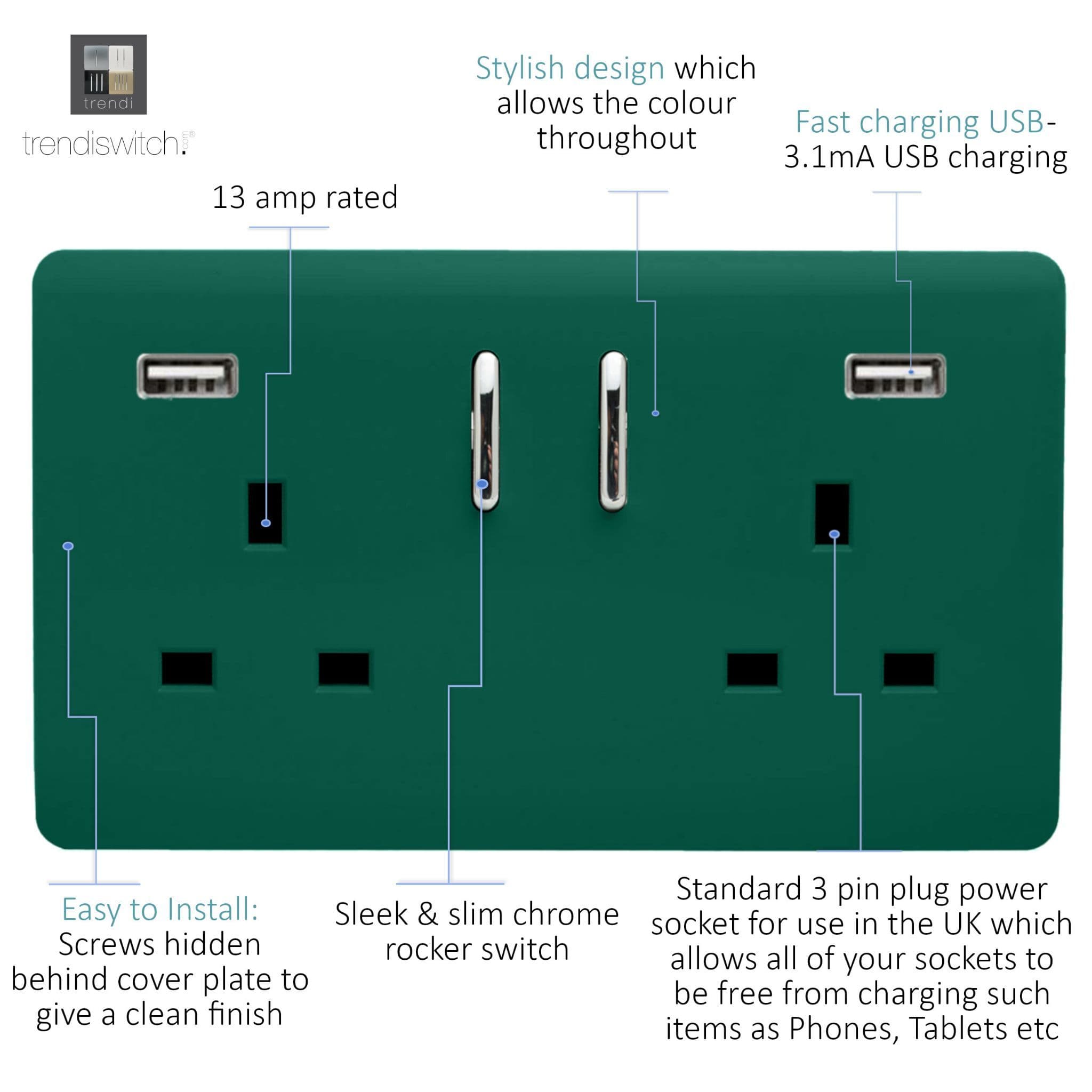 2 Gang USB 3100mA Plug Socket angle 2