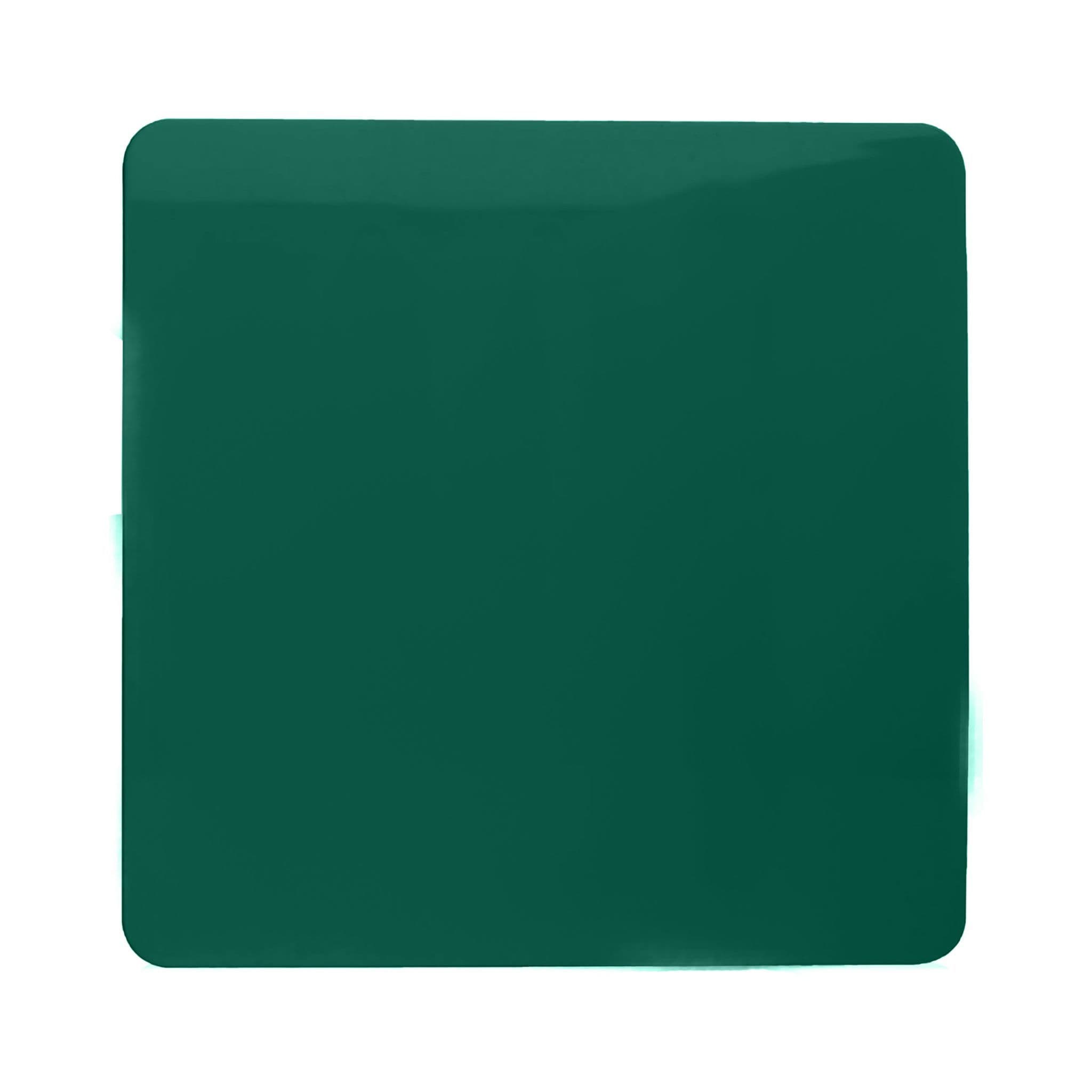 Single Blanking Plate