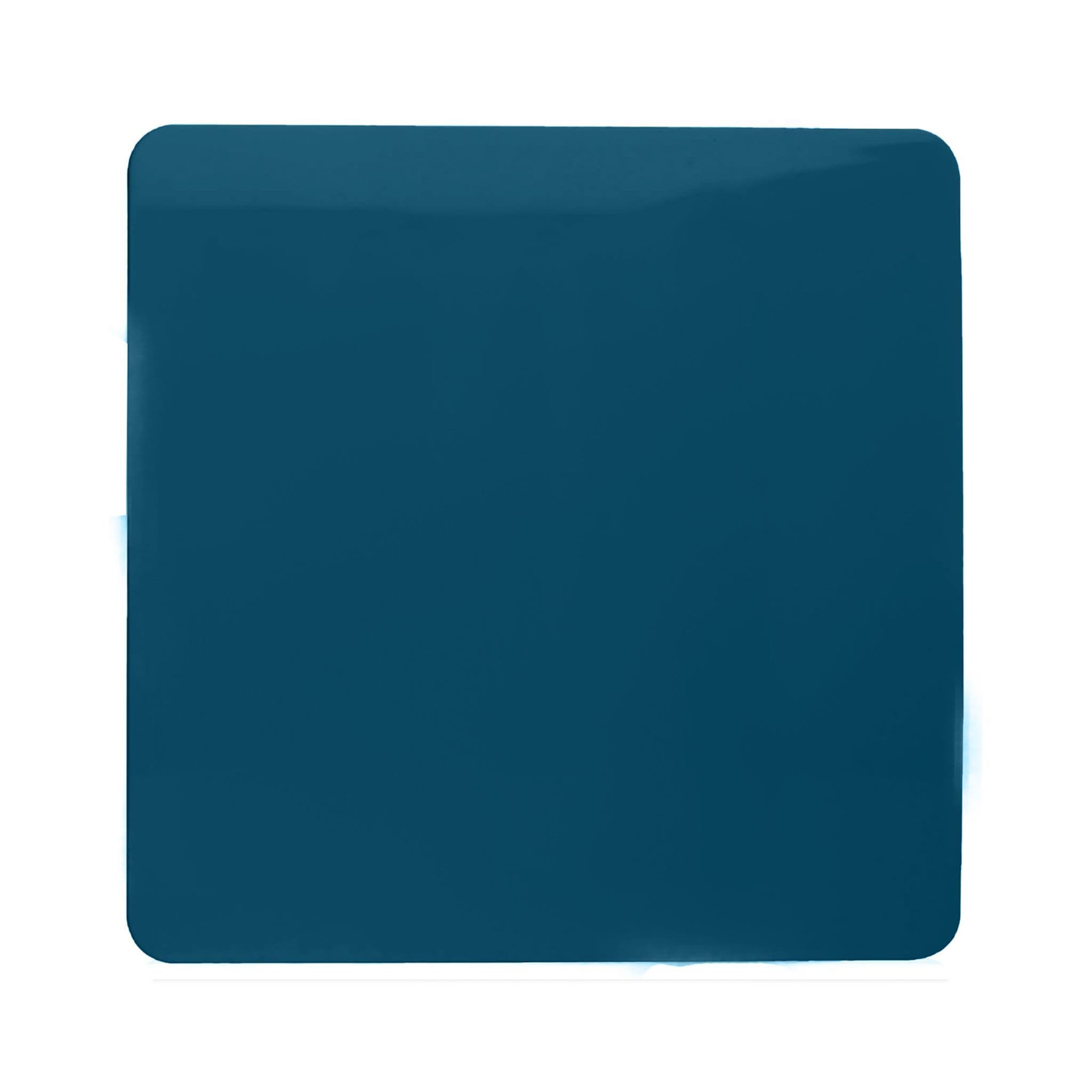 Single Blanking Plate