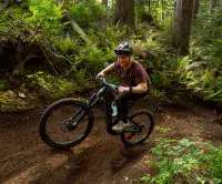 Marin Alpine Trail EL2 Brown Grey
