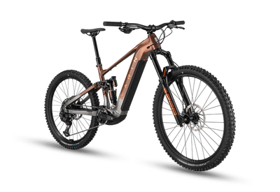 Marin Alpine Trail EL2 Brown Grey