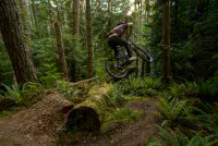 Marin Alpine Trail EXR Silver Black