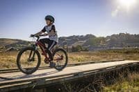 Marin Bayview Trail 24