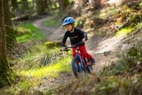 Marin Bear Valley 20