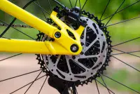 Marin Rift Zone JR 24