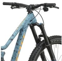 Scott Ransom 600 Larkspur Blue