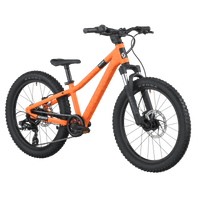 SCOTT Roxter 200 Bike