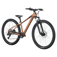 Scott Roxter 600 Bike