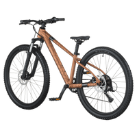 Scott Roxter 600 Bike