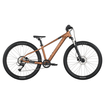 Scott Roxter 600 Bike