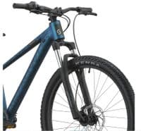 Scott Roxter 600 Transformative Green