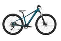 Scott Roxter 600 Transformative Green
