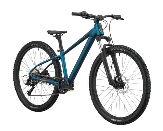 Scott Roxter 600 Transformative Green