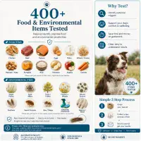 Dog Intolerance Test for Itching & Tummy Issues | 400 Items | Itchy Dog