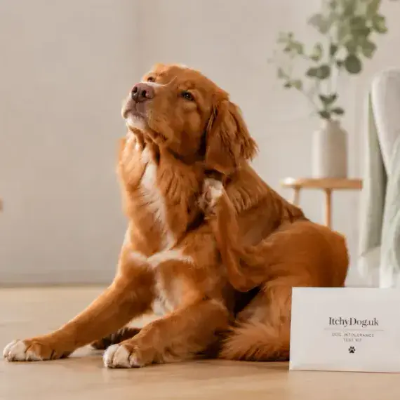 Dog Intolerance Test for Itching & Tummy Issues | 400 Items | Itchy Dog