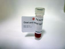 20nm Goat anti Rabbit IgG Gold 1 ml Product Code GAR20