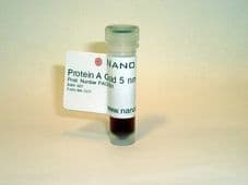 Protein A Gold 5nm 1ml PAG05