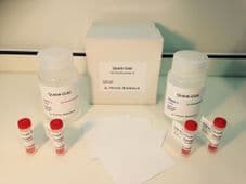 Quanti-Gold assay kit combo / nanoparticles QGC-100N
