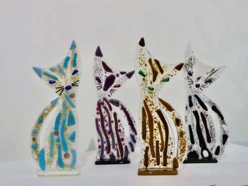 Glass Cat