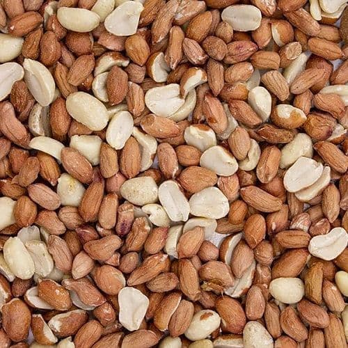 Peanuts for Wild Birds