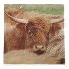 3ply Paper Soft Napkins - 33x33cm - Highland Cow - Pack of 120 - Scottish Gift in Burns Night