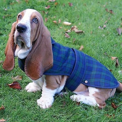 Medium Tartan Dog Coat Black Watch Brand New