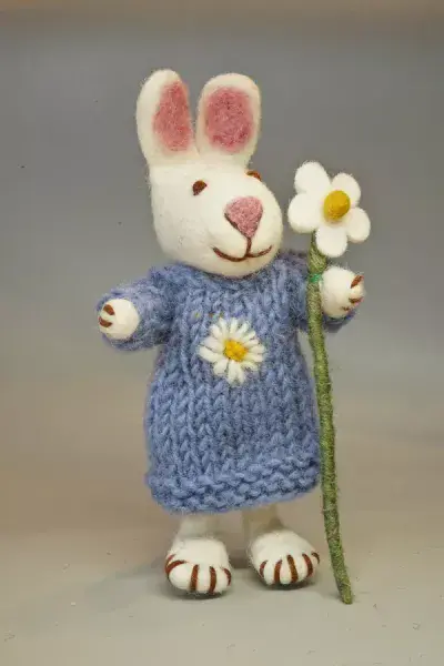 Daisy The Rabbit