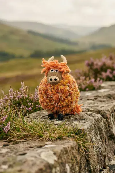 Duncan The Highland Cow