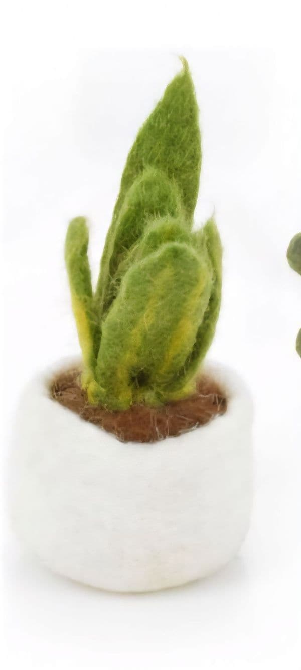 Handmade Felt Biodegradable Fake Miniature Plants Decoration
