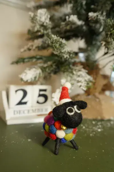 Ziggys First Christmas