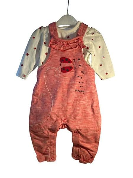 1-3 Month Ladybird Dungaree Set