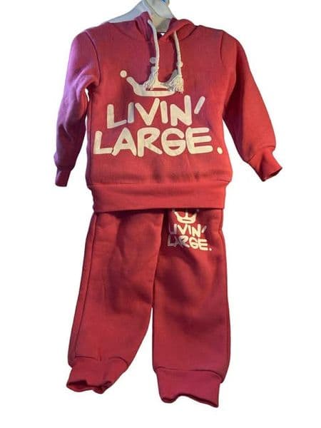 2 Year Pink Tracksuit Livin Large