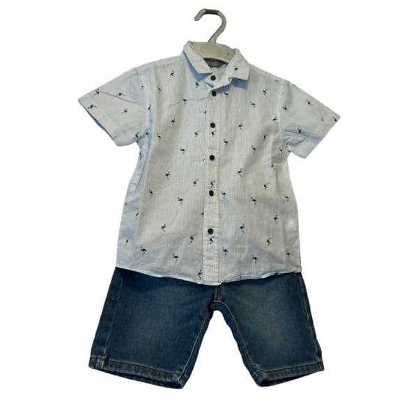 3-4 Year Denim Shorts and Blue Shirt